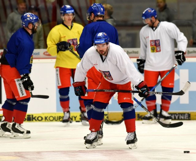 Trénink české reprezentace, Carlson Hockey Games