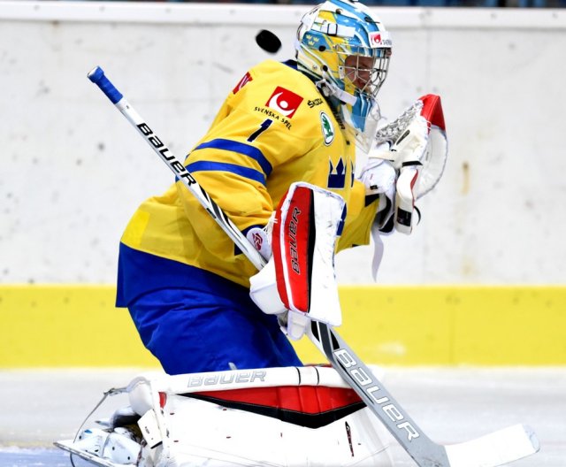 U18: CZE vs. SWE 0:2