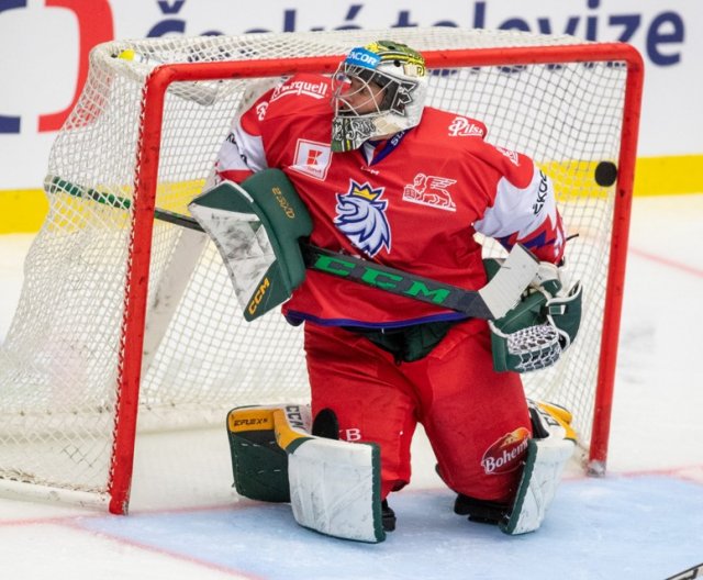 A-tým - České Budějovice: Česko vs Švédsko, 10. 11. 2022