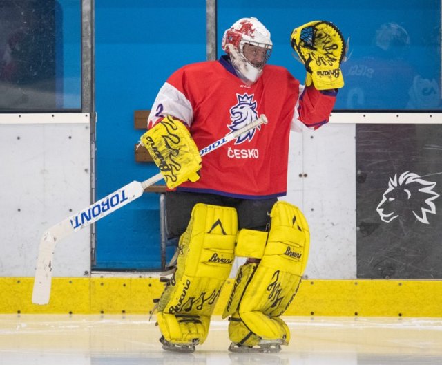 Veteráni - Lomnice nad Popelkou: HC Lomnice nad Popelkou vs Veteráni ČR, 29.1.2023