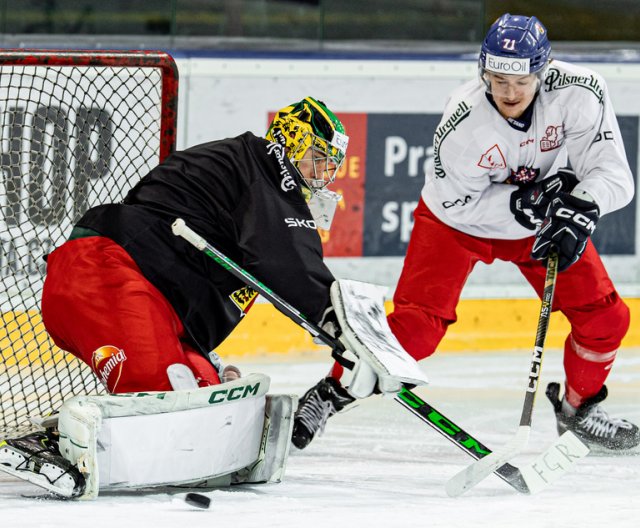 Trénink před Beijer Hockey Games v Praze - 7. února 2024