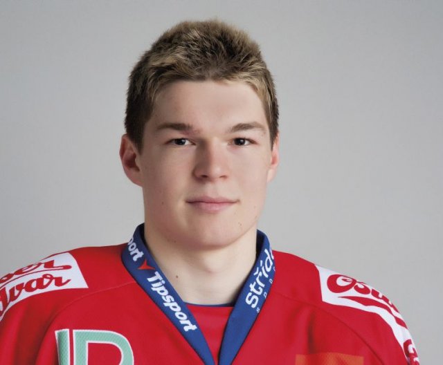 MS 2013 - Tomáš Hertl