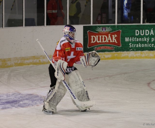 U16: Česko - Švýcarsko, Strakonice, 10.11.2012